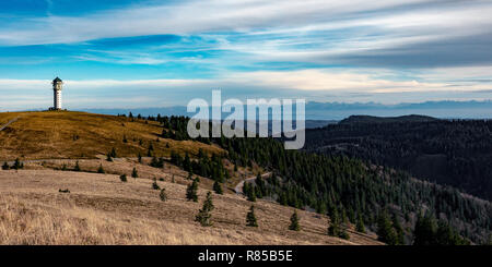 Blick auf Feldberg im Schwarzwald bis zu den Schweizer Alpen Stockfoto