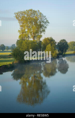 Nebel steigt um Boote auf dem Fluss Themse günstig bei Wallingford in der Morgendämmerung, von Wallingford Bridge Stockfoto