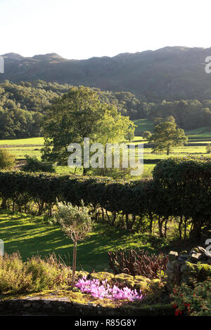 Ein Blick über Easedale, Grasmere im Lake District Stockfoto