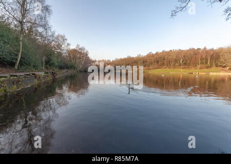 Tierpfleger Pool aus dem Osten 1. Stockfoto