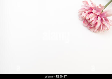 Minimale styled Flach mit rosa Blume auf einem weißen Hintergrund. Mock up Top View isoliert auf Weiss. Stockfoto