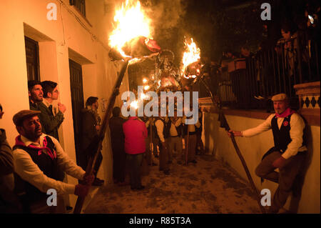 Malaga, Spanien. 13 Dez, 2018. Eine Statue der 'Divina Pastora 'Virgin wird gesehen, wie Dorfbewohner Fackeln während der Feier der 'Divina Pastora 'Virgin Prozession halten. Am Vorabend des Festes der Santa Lucia, jede Nacht von 12. Dezember, Dorfbewohner beteiligten sich an der traditionellen Feier der 'Los Rondeles" die brennenden wickers Körbe (auch bekannt als 'rondeles') in Öl getränkt. Um die Straßen, die Jungfrau der 'Los Rondeles" von den Teilnehmern in einem Ritual Licht und Feuer geehrt wird. Credit: Jesus Merida/SOPA Images/ZUMA Draht/Alamy leben Nachrichten Stockfoto