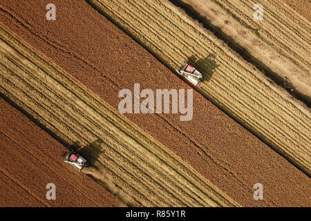 (181213) -- HUAIAN, Dez. 13, 2018 (Xinhua) - Aero Foto am Dez. 13, 2018 zeigt Erntemaschinen, die Arbeit in einem Reisfeld in Huaian Hongze Bezirk, Stadt, der ostchinesischen Provinz Jiangsu. Die Bauern waren damit beschäftigt, die Ernte spät Reis nach dem regnerischen Wetter mehrere Tage dauern. (Xinhua / Wan-Zhen) (ly) Stockfoto