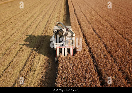 (181213) -- HUAIAN, Dez. 13, 2018 (Xinhua) - Aero Foto am Dez. 13, 2018 zeigt Harvester Works in einem Reisfeld in Huaian Hongze Bezirk, Stadt, im Osten der chinesischen Provinz Jiangsu kombinieren. Die Bauern waren damit beschäftigt, die Ernte spät Reis nach dem regnerischen Wetter mehrere Tage dauern. (Xinhua / Wan-Zhen) (ly) Stockfoto