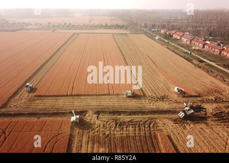 (181213) -- HUAIAN, Dez. 13, 2018 (Xinhua) - Aero Foto am Dez. 13, 2018 zeigt Erntemaschinen, die Arbeit in einem Reisfeld in Huaian Hongze Bezirk, Stadt, der ostchinesischen Provinz Jiangsu. Die Bauern waren damit beschäftigt, die Ernte spät Reis nach dem regnerischen Wetter mehrere Tage dauern. (Xinhua / Wan-Zhen) (ly) Stockfoto