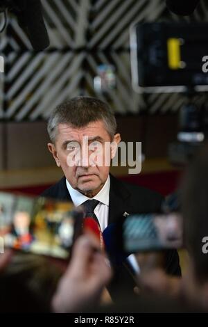 Brüssel, Belgien. 13 Dez, 2018. Tschechische PM Andrej Babis besucht zweitägigen EU-Gipfels am Brexit, Sanktionen gegen Russland, die Entwicklung auf dem Balkan und in anderen Fragen in Brüssel, Belgien, 13. Dezember 2018. Credit: Jakub Dospiva von der Nachrichtenagentur CTK/Foto/Alamy leben Nachrichten Stockfoto