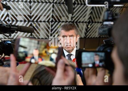 Brüssel, Belgien. 13 Dez, 2018. Tschechische PM Andrej Babis besucht zweitägigen EU-Gipfels am Brexit, Sanktionen gegen Russland, die Entwicklung auf dem Balkan und in anderen Fragen in Brüssel, Belgien, 13. Dezember 2018. Credit: Jakub Dospiva von der Nachrichtenagentur CTK/Foto/Alamy leben Nachrichten Stockfoto