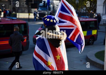 London, Großbritannien. 13. Dezember, 2018. SODEM Anti Brexit protestieren. Am Tag nach dem Misstrauensvotum in Theresa May, die Sie mit 200 Stimmen zu 117 gewann. Houses of Parliament, London.UK Credit: michael Melia/Alamy leben Nachrichten Stockfoto