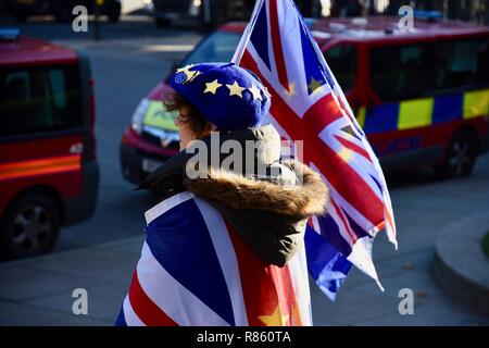 London, Großbritannien. 13. Dezember, 2018. SODEM Anti Brexit protestieren. Am Tag nach dem Misstrauensvotum in Theresa May, die Sie mit 200 Stimmen zu 117 gewann. Houses of Parliament, London.UK Credit: michael Melia/Alamy leben Nachrichten Stockfoto