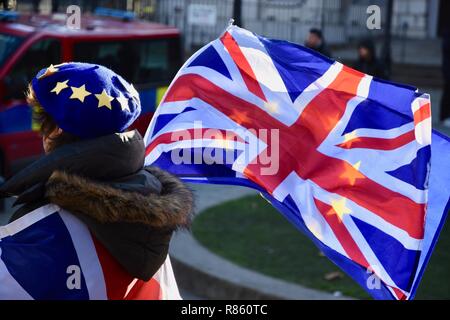 London, Großbritannien. 13. Dezember, 2018. SODEM Anti Brexit protestieren. Am Tag nach dem Misstrauensvotum in Theresa May, die Sie mit 200 Stimmen zu 117 gewann. Houses of Parliament, London.UK Credit: michael Melia/Alamy leben Nachrichten Stockfoto