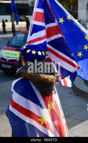 London, Großbritannien. 13. Dezember, 2018. SODEM Anti Brexit protestieren. Am Tag nach dem Misstrauensvotum in Theresa May, die Sie mit 200 Stimmen zu 117 gewann. Houses of Parliament, London.UK Credit: michael Melia/Alamy leben Nachrichten Stockfoto