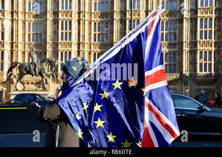 London, Großbritannien. 13. Dezember, 2018. SODEM Anti Brexit protestieren. Am Tag nach dem Misstrauensvotum in Theresa May, die Sie mit 200 Stimmen zu 117 gewann. Houses of Parliament, London.UK Credit: michael Melia/Alamy leben Nachrichten Stockfoto