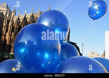 London, Großbritannien. 13. Dezember, 2018. SODEM Anti Brexit protestieren. Am Tag nach dem Misstrauensvotum in Theresa May, die Sie mit 200 Stimmen zu 117 gewann. Houses of Parliament, London. Quelle: michael Melia/Alamy leben Nachrichten Stockfoto