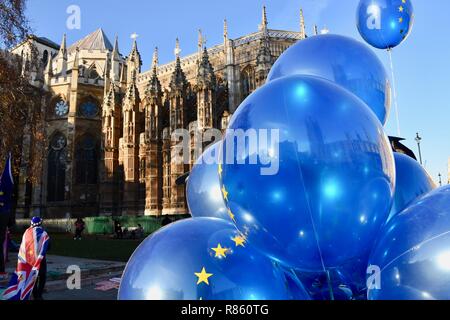 13. Dezember, 2018. SODEM Anti Brexit Protest, der auf den Tag folgt, an dem Misstrauensvotum in Theresa May, die Sie mit 200 Stimmen zu 117 gewann. Houses of Parliament, Westminster, London.UK Credit: michael Melia/Alamy leben Nachrichten Stockfoto