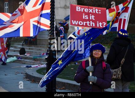 13. Dezember, 2018. SODEM Anti Brexit protestieren. Am Tag nach dem Misstrauensvotum in Theresa May, die Sie mit 200 Stimmen zu 117 gewann. Houses of Parliament, London.UK Credit: michael Melia/Alamy leben Nachrichten Stockfoto