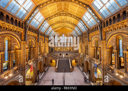 Zentrale Halle des Natural History Museum in London, England, Großbritannien Stockfoto