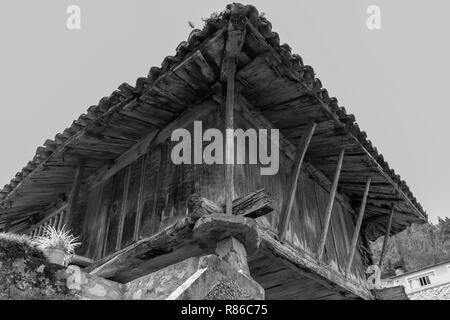 Horreo asturiano. Asturische Scheune. Populäre Architektur in bloße. Asturien. Spanien. Stockfoto