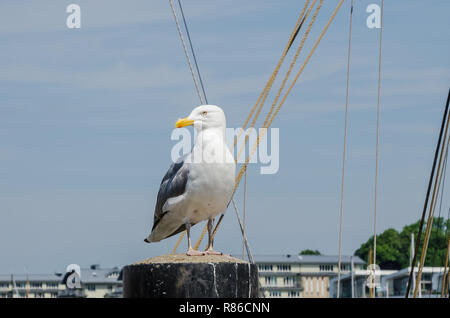 Zahlreiche Attraktionen machen Flensburg ein beliebter Ort für Touristen. Flensburg ist die wirtschaftliche, kulturelle und touristische Zentrum der Region. Stockfoto