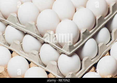 Mehrere weiße Eier in einem Ei Karton. Stockfoto