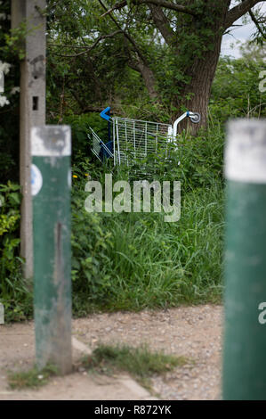 Verlassene Einkaufswagen in der afflent Hampshire Stadt Skegness Stockfoto