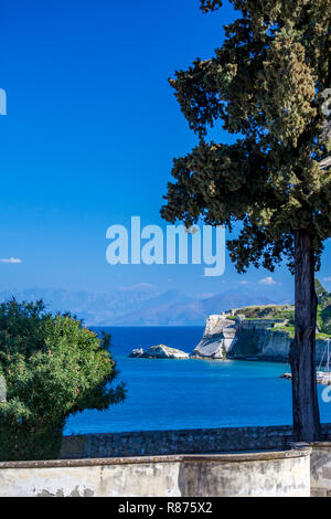 Landschaft, sonniger Frühlingstag in Korfu, Kerkira Insel, Griechenland. Vertikale blaue Landschaft, teilweise mit Busch und Baum im vorderen entlang der Promenade. Stockfoto