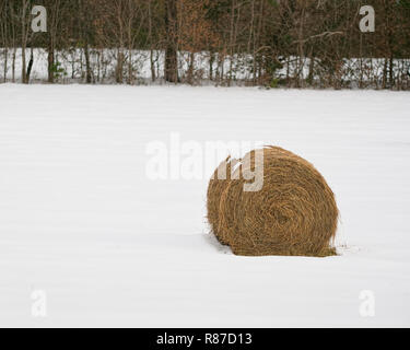 Runde Heuballen im Schnee bedeckt. Eine einzelne Ballen in den Schnee. Stockfoto