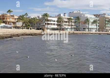 CAN PASTILLA, MALLORCA, SPANIEN - 25 NOVEMBER 2018: Möwen in der Bucht und BQ Aquamarina Hotel am Meer bei starkem Wind an einem sonnigen Tag am 25. November, 2 Stockfoto