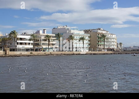 CAN PASTILLA, MALLORCA, SPANIEN - 25 NOVEMBER 2018: Möwen in der Bucht und BQ Aquamarina Hotel am Meer bei starkem Wind an einem sonnigen Tag am 25. November, 2 Stockfoto