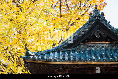 Nezu Schrein traditionelle Dach und Herbst ginkgo Baum in Tokio, Japan. Stockfoto