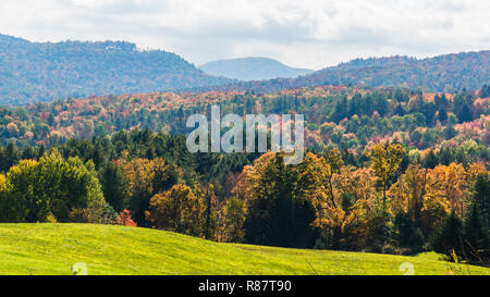 Hügel von grüne Wiese mit bewaldeten Wäldern hell im Herbst Laub Stockfoto