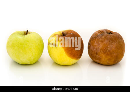 Faule Äpfel auf weißem Hintergrund Stockfoto