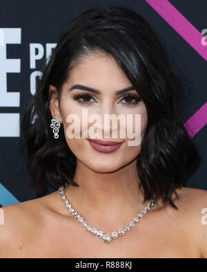 SANTA MONICA, Los Angeles, CA, USA - 11. NOVEMBER: Lufy an der People's Choice Awards 2018 Barker Hangar am November 11, 2018 in Santa Monica, Los Angeles, Kalifornien, Vereinigte Staaten. (Foto von Xavier Collin/Image Press Agency) Stockfoto