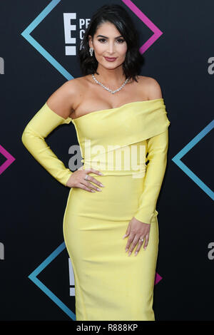 SANTA MONICA, Los Angeles, CA, USA - 11. NOVEMBER: Lufy an der People's Choice Awards 2018 Barker Hangar am November 11, 2018 in Santa Monica, Los Angeles, Kalifornien, Vereinigte Staaten. (Foto von Xavier Collin/Image Press Agency) Stockfoto