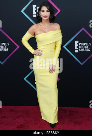 SANTA MONICA, Los Angeles, CA, USA - 11. NOVEMBER: Lufy an der People's Choice Awards 2018 Barker Hangar am November 11, 2018 in Santa Monica, Los Angeles, Kalifornien, Vereinigte Staaten. (Foto von Xavier Collin/Image Press Agency) Stockfoto