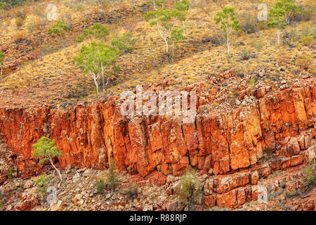 Schroffe Klippen und Ghost Gummis in Lurline Schlucht. Stockfoto