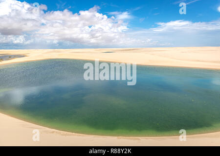 Die Grüne Lagune in Lencois Maranhenses im Norden Brasiliens Stockfoto