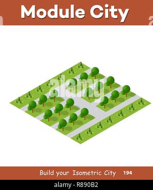 Natürliche Landschaft isometrische Wald mit Bäumen und Pflanzen grün Reisen blatt Szene Stock Vektor