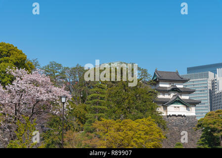 Kirschblüte in Tokio Imperial Palace Stockfoto