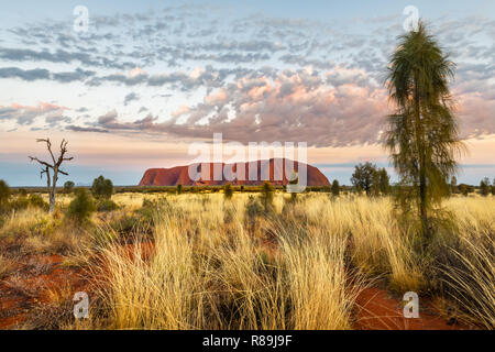 Die herrlichen und berühmten Uluru im roten Zentrum Australiens. Stockfoto