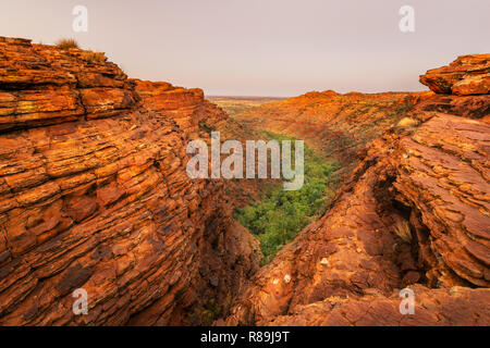 Spektakuläre Aussicht in die Schlucht von Watarrka (Kings Canyon) National Park. Stockfoto