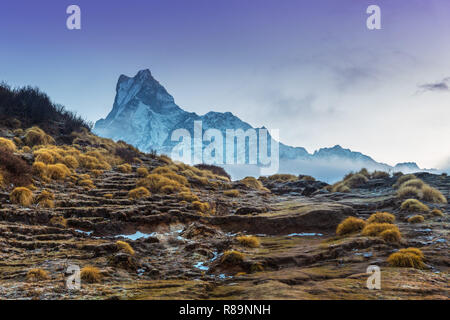 Blick auf Matschaputschare Berg, Fishtail Peak, auf Mardi Himal Trail im Annapurna Himal, Nepal, Himalaya, Asien Stockfoto