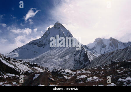 Shivling Peak, Tapovan, Gangotri, Garhwal, Chamoli, Uttar Pradesh, Uttarakhand, Indien, Asien Stockfoto