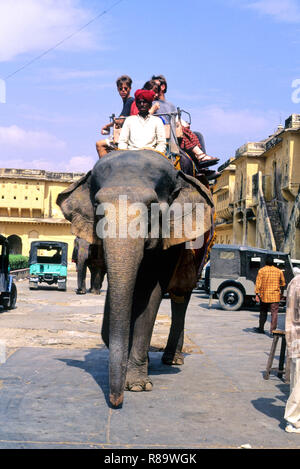 Elefanten reiten, Amber Fort, Jaipur, Rajasthan, Indien Stockfoto