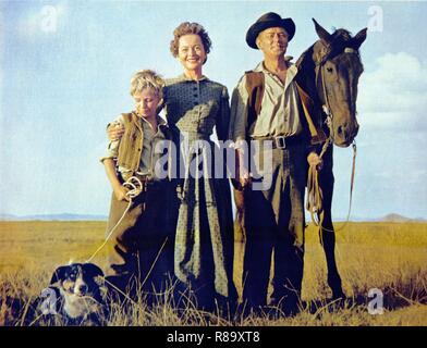 Der stolze Rebell Jahr: 1958 USA Regie: Michael Curtiz Olivia de Havilland, David Ladd, Alan Ladd Stockfoto