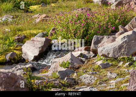 Steine und Felsen entlang Almwiese und streamen Stockfoto