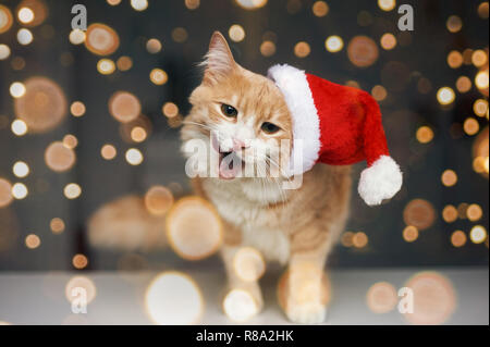Ginger cat in Red santa hut ist lecken sich und smack der Lippen. Weihnachtliche Stimmung Konzept mit gelben Girlande Lichter bokeh Stockfoto