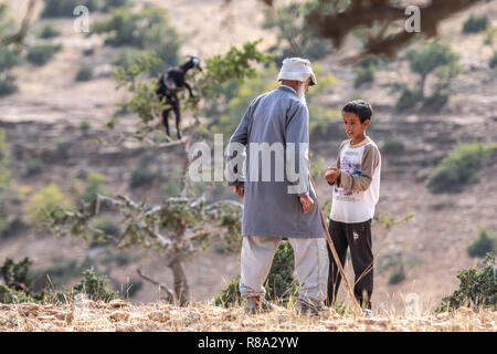 Mann und Junge mit Ziege Klettern auf Baum im Hintergrund, Essaouira, Marokko Stockfoto