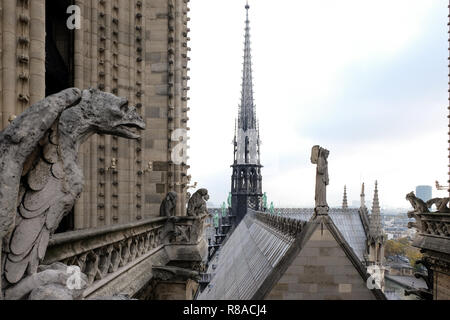 Chimären (wasserspeier) der Kathedrale von Notre Dame de Paris mit Blick auf Paris, Frankreich Stockfoto