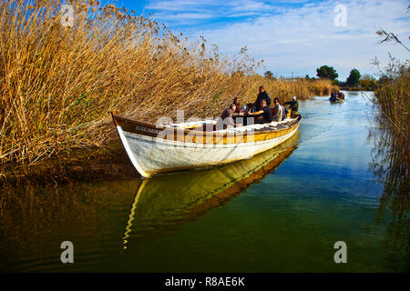 Albufera Valencia Naturpark. Valencia. Comunidad Valenciana. Spanien. Stockfoto