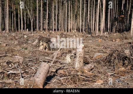 Sturmschäden nach dem Zyklon Friederike 2018, Bad Karlshafen, obere Wesertal, Weserbergland, Nordrhein-Westfalen, Hessen, Deutschland, Europa Stockfoto